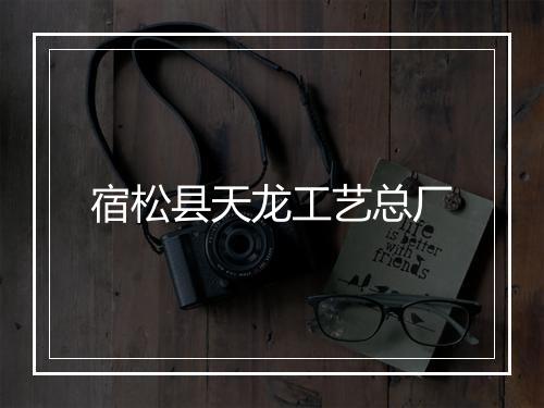 宿松县天龙工艺总厂