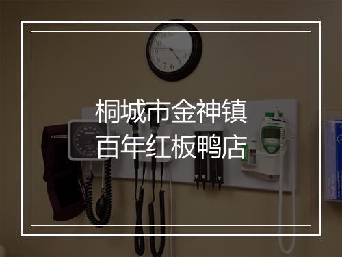 桐城市金神镇百年红板鸭店