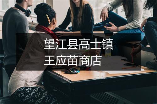 望江县高士镇王应苗商店