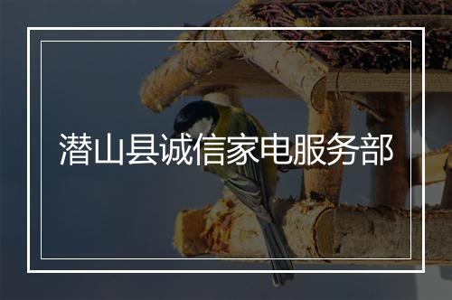 潜山县诚信家电服务部