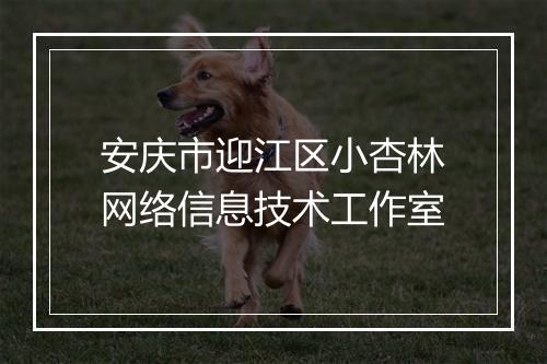 安庆市迎江区小杏林网络信息技术工作室