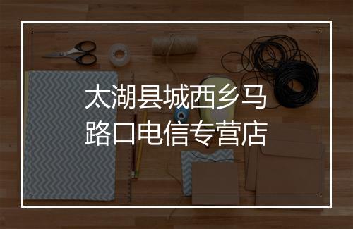 太湖县城西乡马路口电信专营店