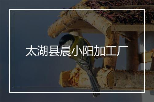 太湖县晨小阳加工厂