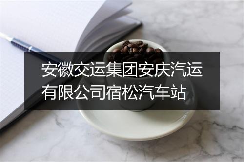 安徽交运集团安庆汽运有限公司宿松汽车站