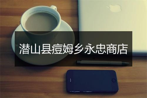 潜山县痘姆乡永忠商店