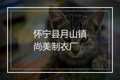 怀宁县月山镇尚美制衣厂