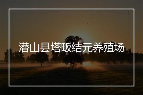 潜山县塔畈结元养殖场