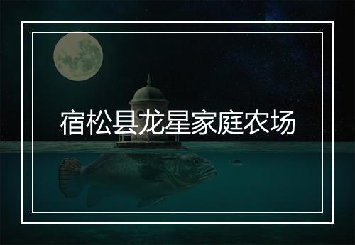 宿松县龙星家庭农场