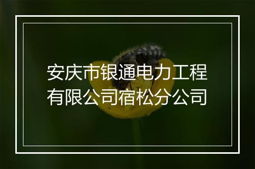 安庆市银通电力工程有限公司宿松分公司