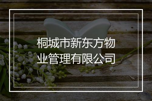 桐城市新东方物业管理有限公司