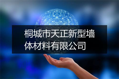 桐城市天正新型墙体材料有限公司