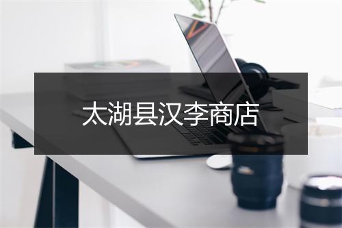 太湖县汉李商店