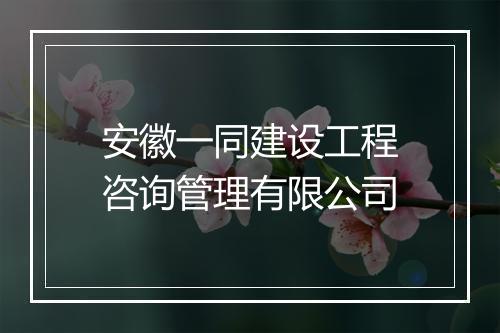 安徽一同建设工程咨询管理有限公司