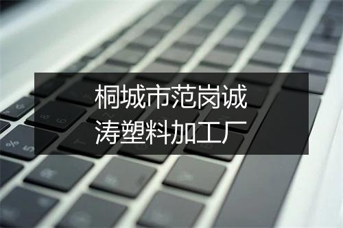 桐城市范岗诚涛塑料加工厂