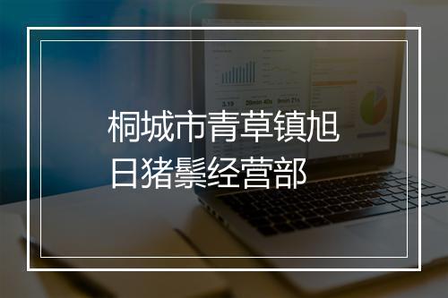 桐城市青草镇旭日猪鬃经营部
