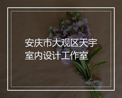 安庆市大观区天宇室内设计工作室