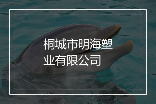桐城市明海塑业有限公司