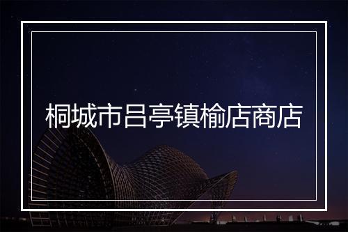 桐城市吕亭镇榆店商店