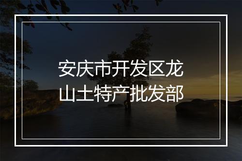 安庆市开发区龙山土特产批发部