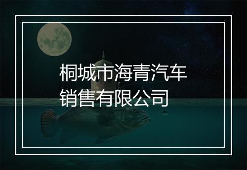 桐城市海青汽车销售有限公司