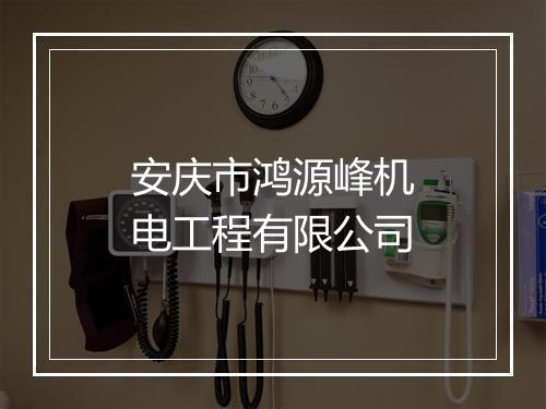 安庆市鸿源峰机电工程有限公司