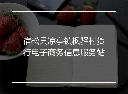 宿松县凉亭镇枫驿村贺行电子商务信息服务站