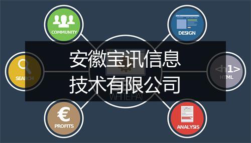 安徽宝讯信息技术有限公司