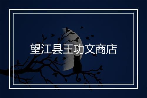 望江县王功文商店