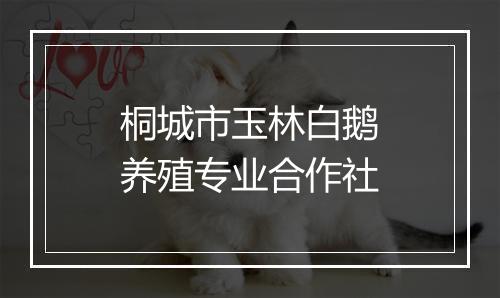 桐城市玉林白鹅养殖专业合作社
