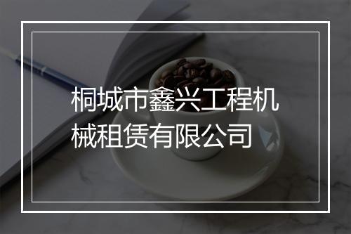 桐城市鑫兴工程机械租赁有限公司