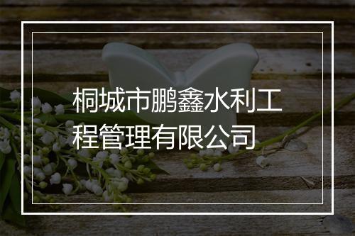 桐城市鹏鑫水利工程管理有限公司