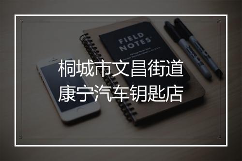 桐城市文昌街道康宁汽车钥匙店