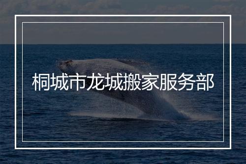 桐城市龙城搬家服务部