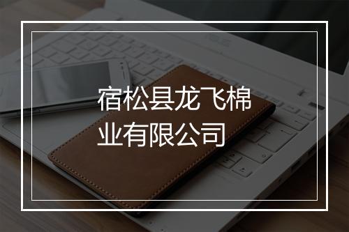 宿松县龙飞棉业有限公司