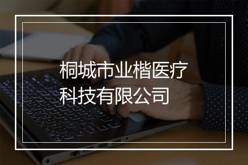 桐城市业楷医疗科技有限公司