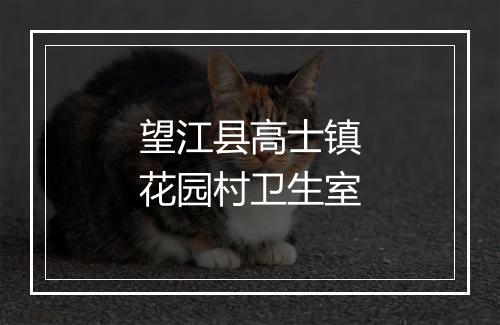 望江县高士镇花园村卫生室