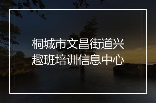桐城市文昌街道兴趣班培训信息中心