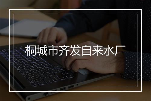 桐城市齐发自来水厂