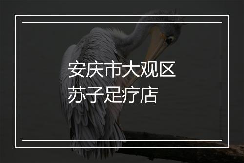 安庆市大观区苏子足疗店