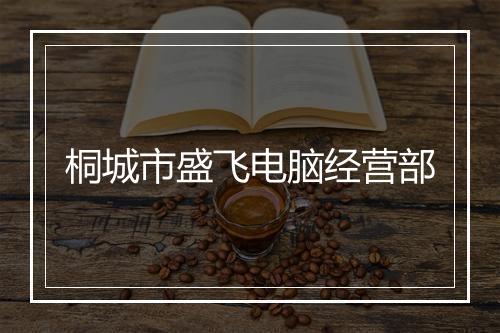 桐城市盛飞电脑经营部