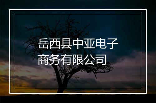 岳西县中亚电子商务有限公司