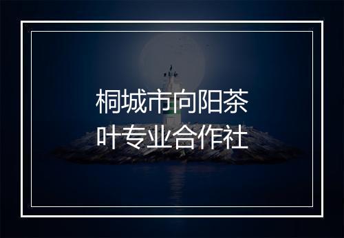 桐城市向阳茶叶专业合作社
