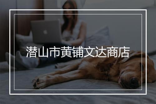 潜山市黄铺文达商店