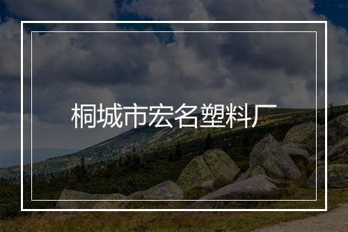 桐城市宏名塑料厂