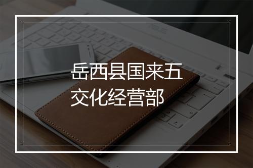 岳西县国来五交化经营部