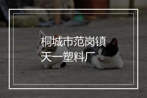 桐城市范岗镇天一塑料厂