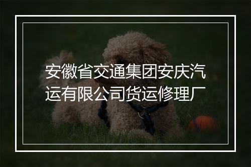 安徽省交通集团安庆汽运有限公司货运修理厂