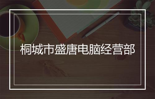桐城市盛唐电脑经营部