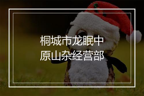 桐城市龙眠中原山杂经营部
