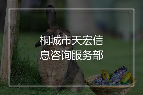 桐城市天宏信息咨询服务部